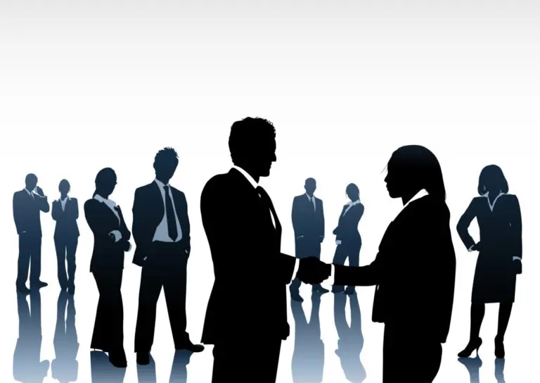 Business Process Management e Erp